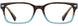 Elements EL402 Eyeglasses