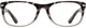 Elements EL442 Eyeglasses