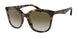 Emporio Armani 4157 Sunglasses