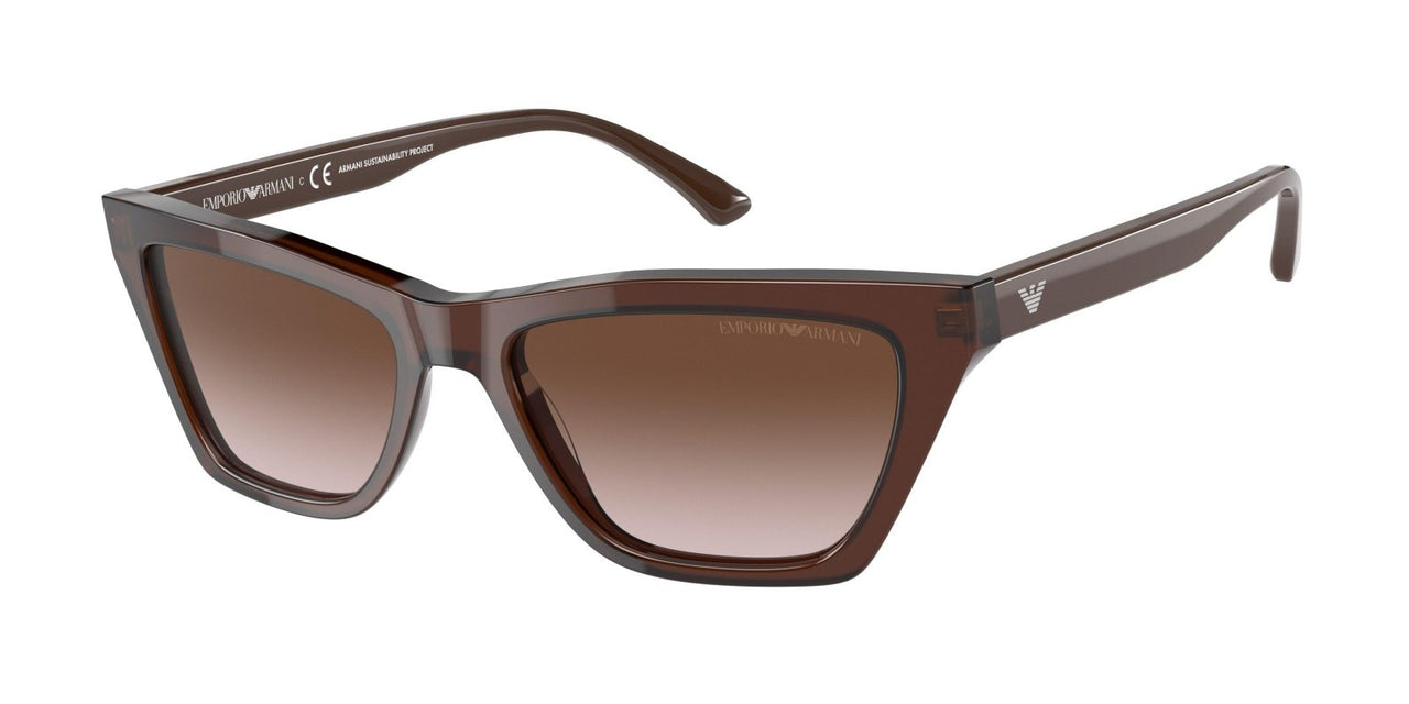 Emporio Armani 4169 Sunglasses