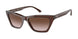 Emporio Armani 4169 Sunglasses