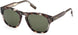 Ermenegildo Zegna 0221 Sunglasses