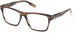 Ermenegildo Zegna 5231 Eyeglasses