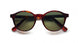 Etnia Barcelona AVINYO 2 SUN Sunglasses