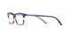 Etnia Barcelona CARPI Eyeglasses