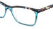 Etnia Barcelona CARPI Eyeglasses