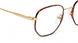 Etnia Barcelona DEXTER Eyeglasses