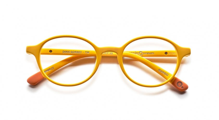 Etnia Barcelona DIXIE Eyeglasses