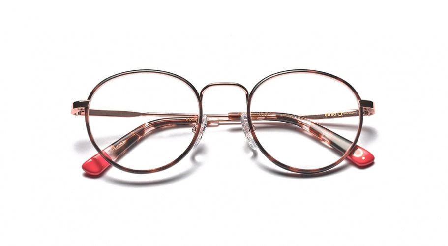 Etnia Barcelona HARRY Eyeglasses