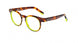 Etnia Barcelona IBIZA 04 Eyeglasses