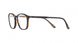 Etnia Barcelona REDWOOD Eyeglasses