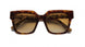 Etnia Barcelona SIMBO 22 SUN Sunglasses