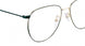 Etnia Barcelona SPRINGFIELD Eyeglasses