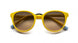 Etnia Barcelona TALLERS 21 SUN Sunglasses