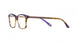 Etnia Barcelona VICENZA Eyeglasses