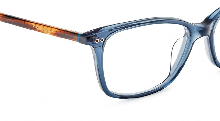 Etnia Barcelona Vintage ROSES Eyeglasses