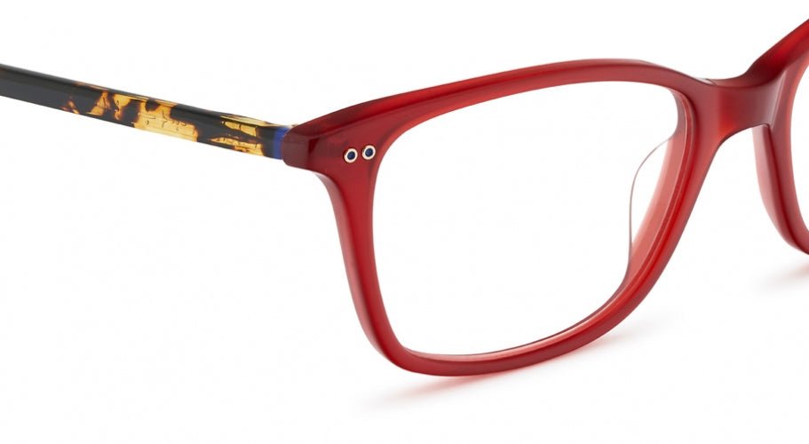 Etnia Barcelona Vintage ROSES Eyeglasses