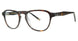 Randy Jackson RJLEX135 Eyeglasses