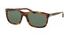 Ralph Lauren 8142 Sunglasses