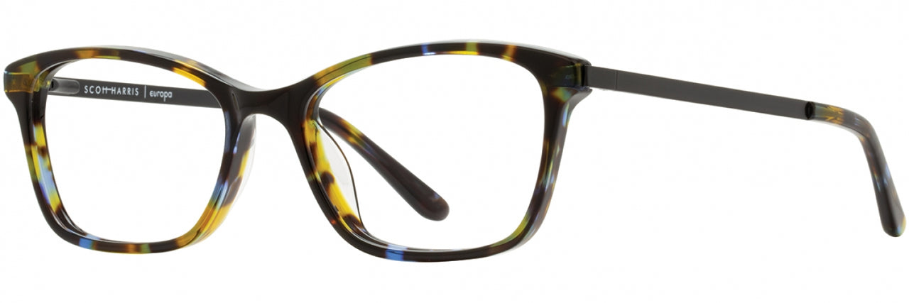 3 - Lime Tortoise / Black