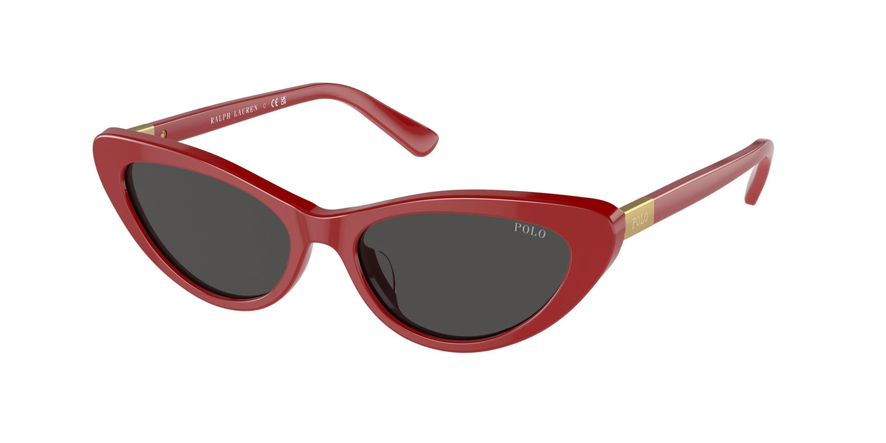 Polo 4199U Sunglasses