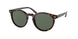 Polo 4151 Sunglasses