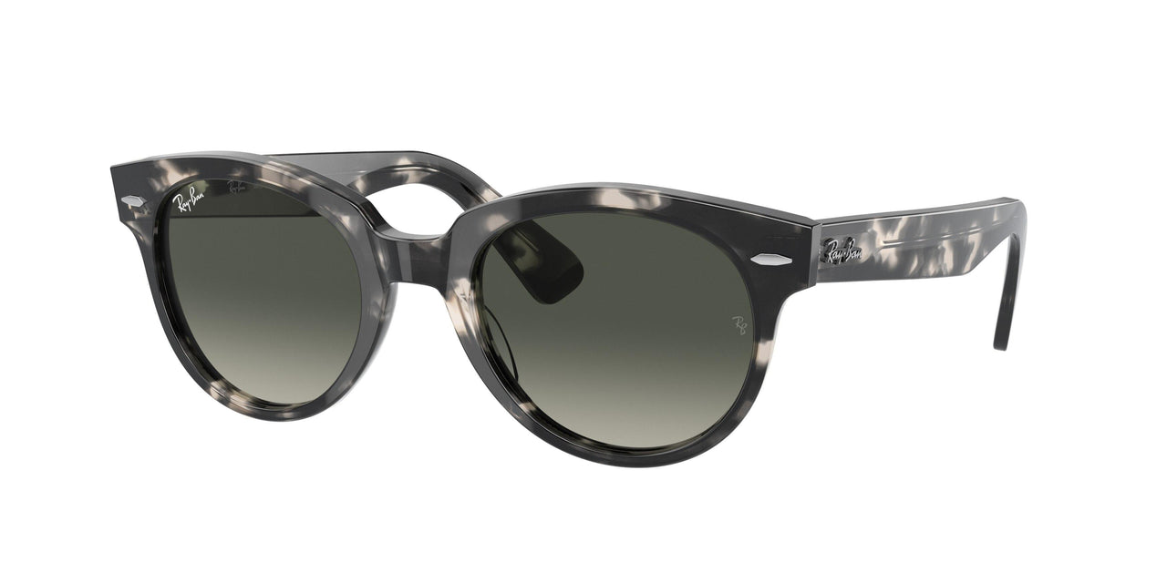 Ray-Ban Orion 2199 Sunglasses