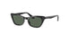 Ray-Ban Kids Miss Burbank 0RJ9099S Sunglasses