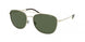 Polo 3127 Sunglasses