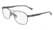 Flexon AUTOFLEX 113 Eyeglasses