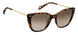 Fossil 2101 Sunglasses