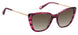 Fossil 2101 Sunglasses