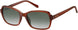 Fossil 3095 Sunglasses