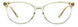 Fossil FOS7144 Eyeglasses