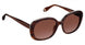 Fysh F2009 Sunglasses