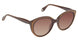 Fysh F2013 Sunglasses