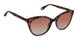 Fysh F2047 Sunglasses