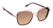 Fysh F2048 Sunglasses