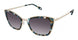 Fysh F2069 Sunglasses