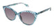 Fysh F2074 Sunglasses