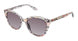 Fysh F2074 Sunglasses