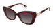 Fysh F2089 Sunglasses