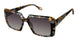 Fysh F2092 Sunglasses