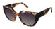 Fysh F2096 Sunglasses