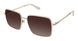 Fysh F2097 Sunglasses