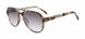 Gap SGP204 Sunglasses