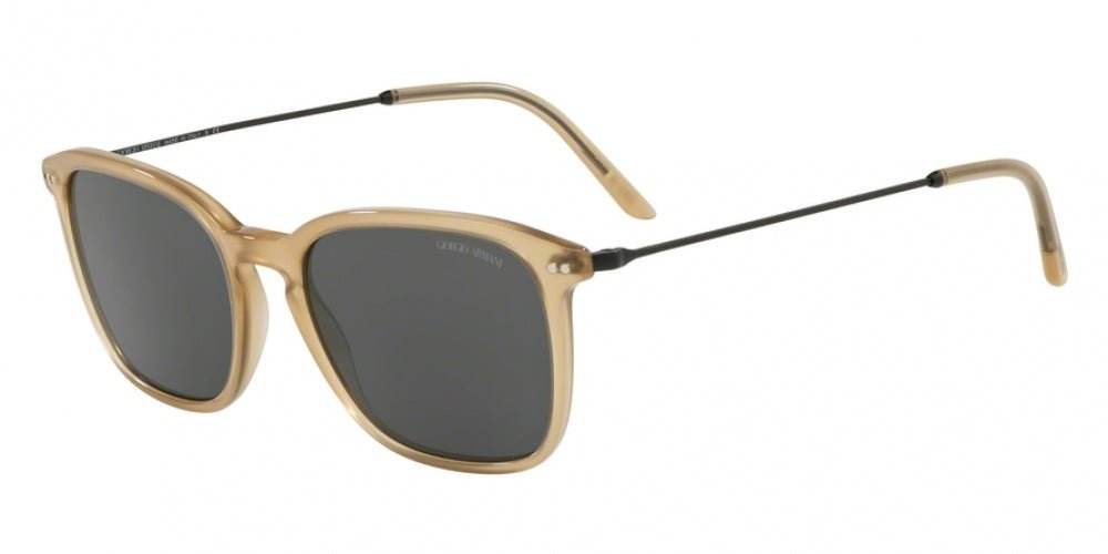 Giorgio Armani 8111 Sunglasses