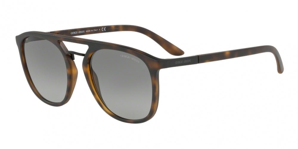 Giorgio Armani 8118 Sunglasses