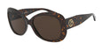 502673 - Havana - Brown