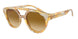 Giorgio Armani 8163 Sunglasses